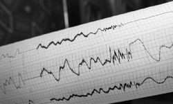 زلزال يضرب إندونيسيا